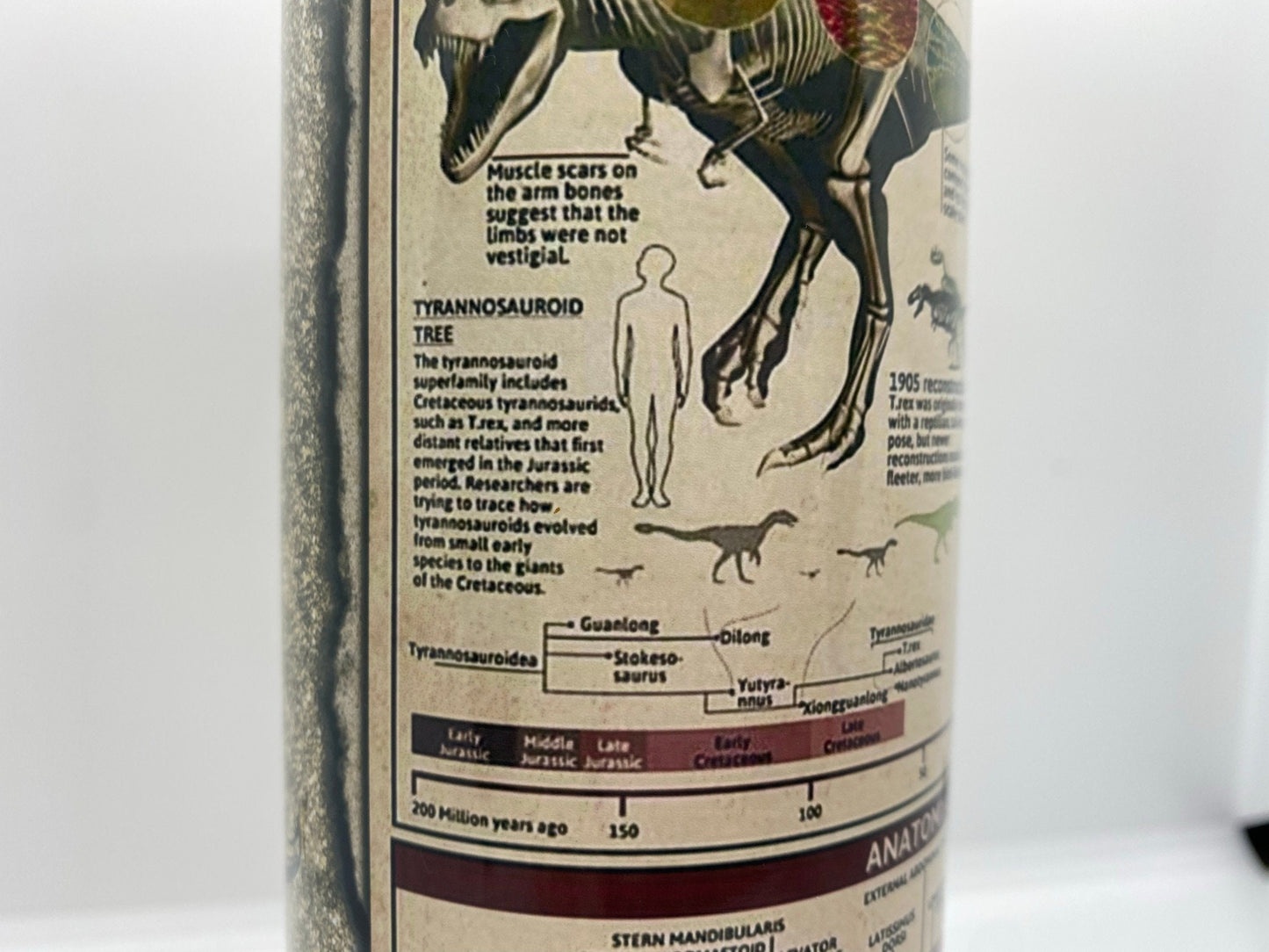 T-Rex Knowledge Tumbler | 20oz Skinny Tumbler | Dinosaur Lovers and Jurassic Fans