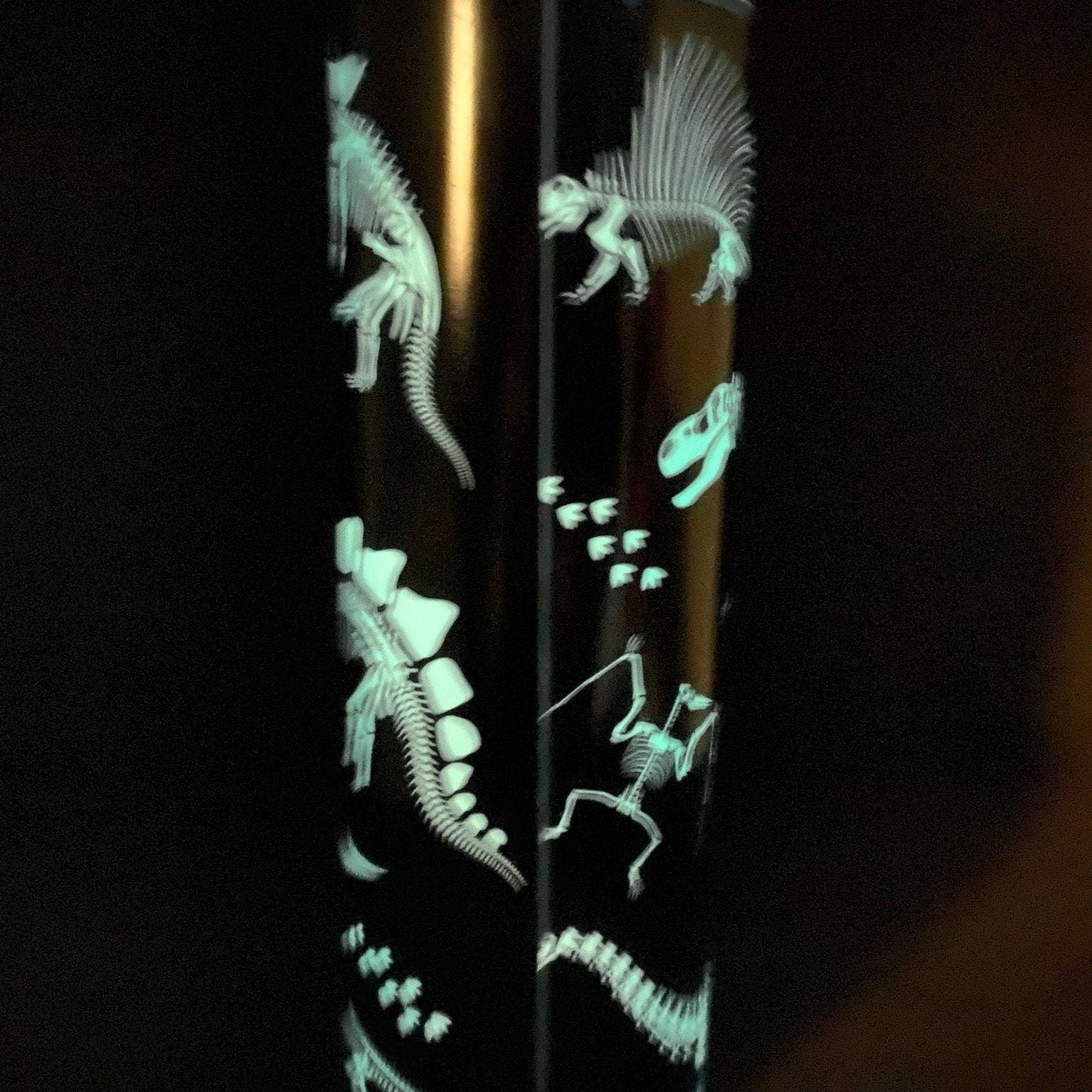 Dinosaur Bones Glow in the Dark Tumbler | 20oz Skinny Tumbler | Dinosaur Lovers and Jurassic Fans