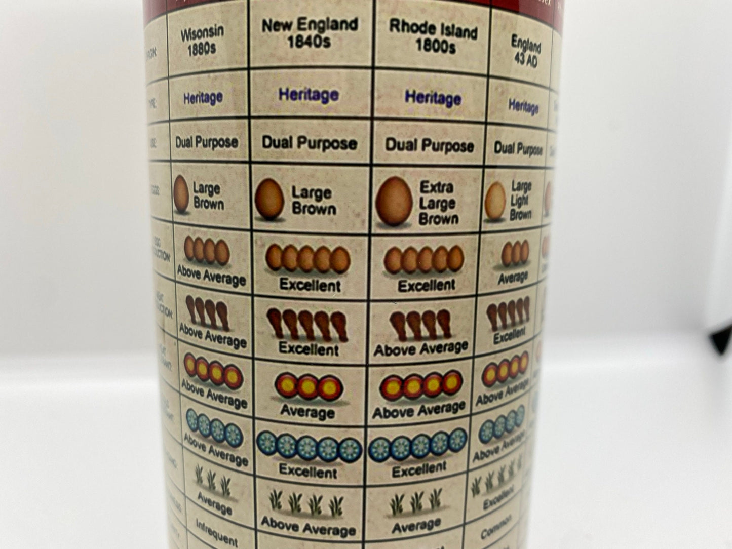 Chicken Knowledge Tumbler | 20oz Skinny Tumbler | Chicken Lady Gift, Free Range Chick Tumbler, Crazy Chicken Lady