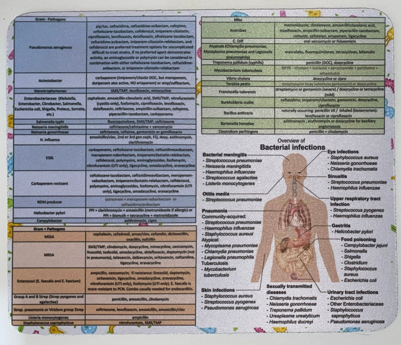 Common Bacterial Pathogens Mousepad, Antibiotic Knowledge, Infectious Disease, Fun Physician, Pharmacist, Nurse, ID Fellow Gifts