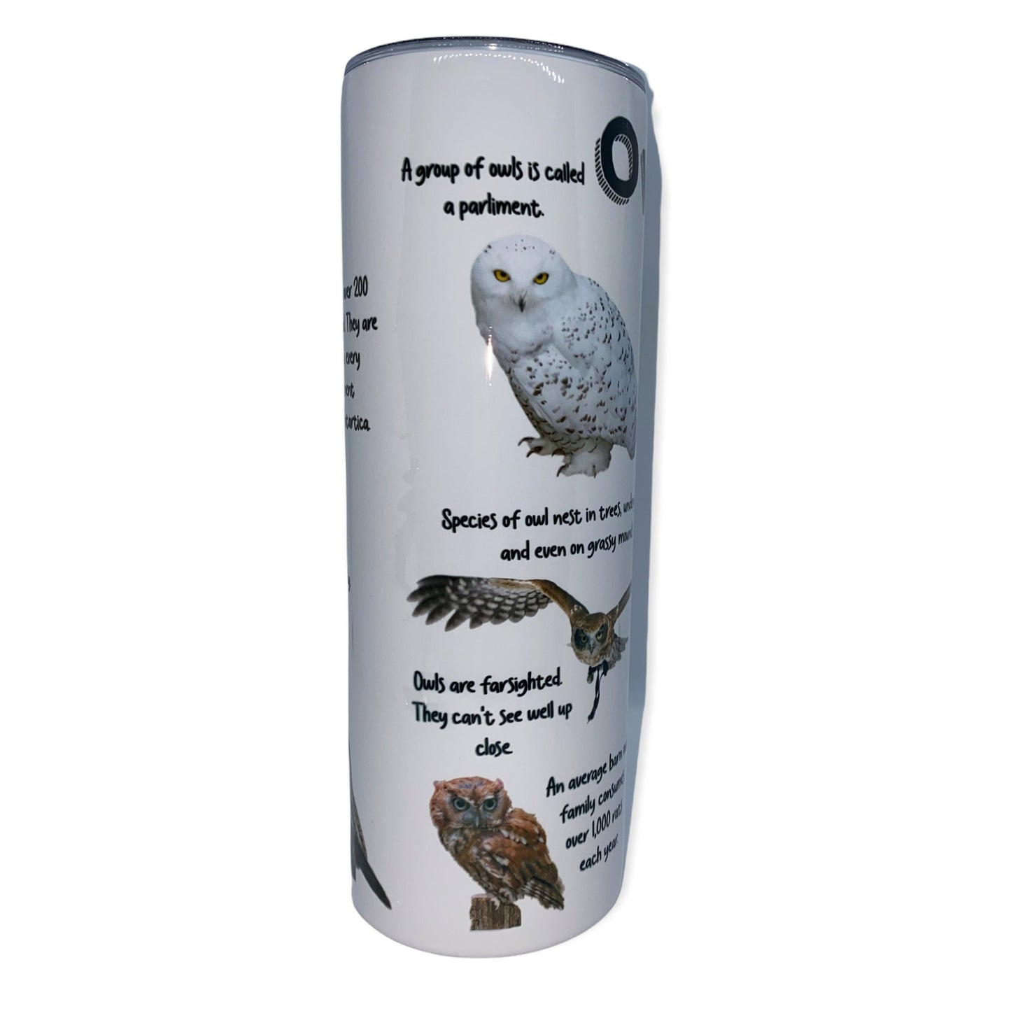 Owls Facts Tumbler, Cup | 20oz Skinny Tumbler | Funny Gift for Wildlife Lover, Endangered Species, Conservation Facts