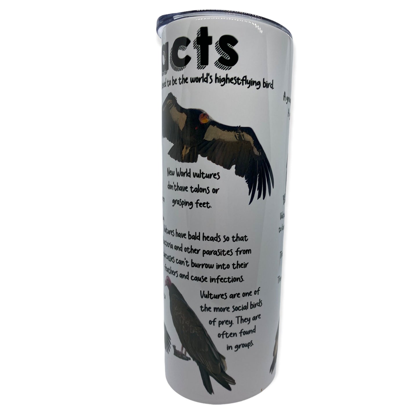Vulture Facts Tumbler, Cup | 20oz Skinny Tumbler |  Gift for Wildlife Lover, Falconer, Educator, Over the Hill Gift