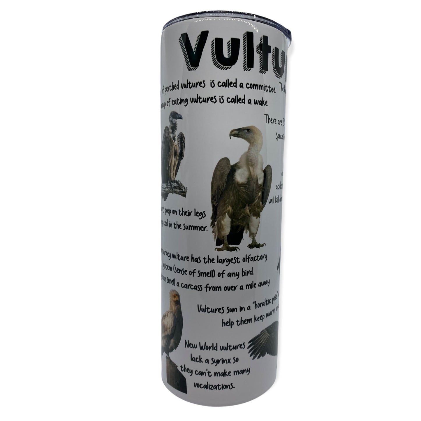 Vulture Facts Tumbler, Cup | 20oz Skinny Tumbler |  Gift for Wildlife Lover, Falconer, Educator, Over the Hill Gift
