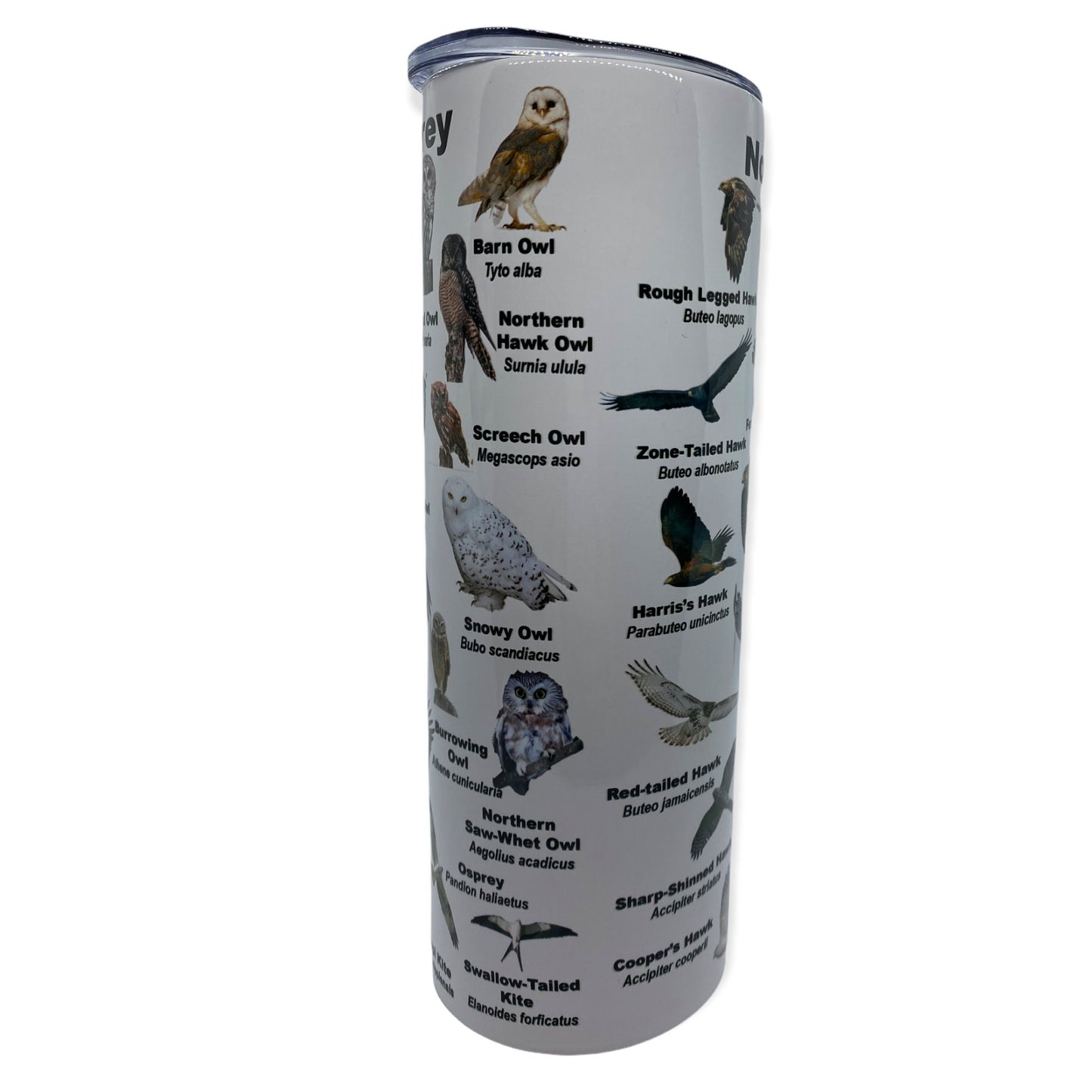 North American Birds of Prey Tumbler, Cup | 20oz Skinny Tumbler | Funny Gift for Wildlife Lover, Falconer, Educator