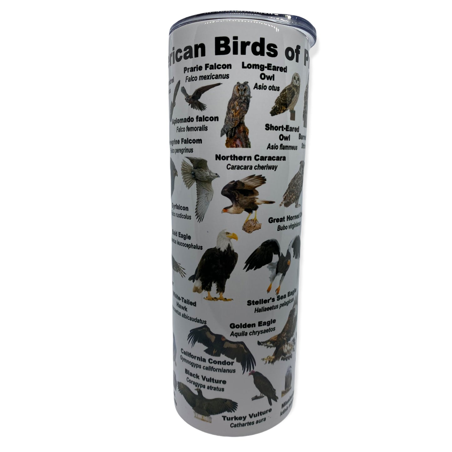 North American Birds of Prey Tumbler, Cup | 20oz Skinny Tumbler | Funny Gift for Wildlife Lover, Falconer, Educator