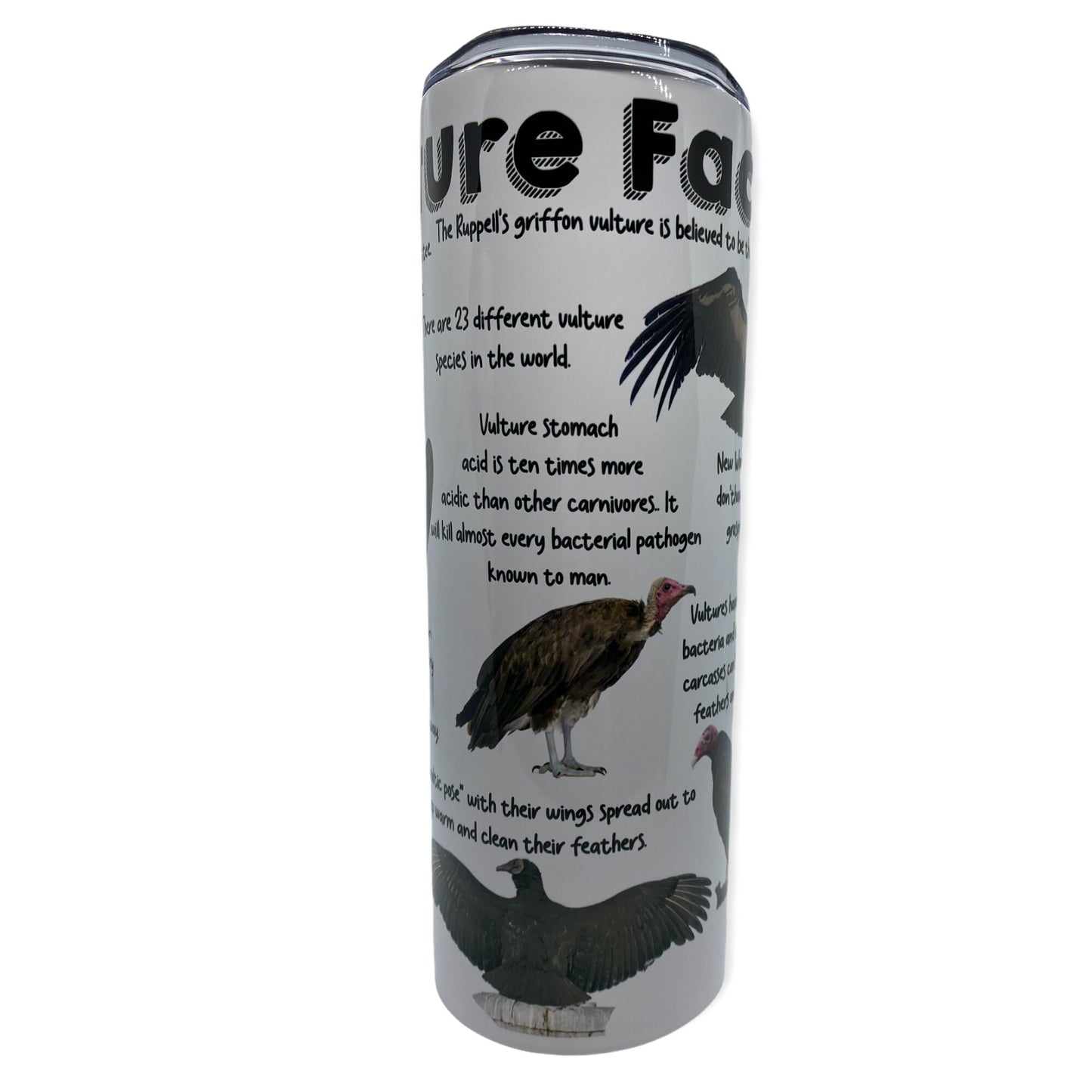 Vulture Facts Tumbler, Cup | 20oz Skinny Tumbler |  Gift for Wildlife Lover, Falconer, Educator, Over the Hill Gift