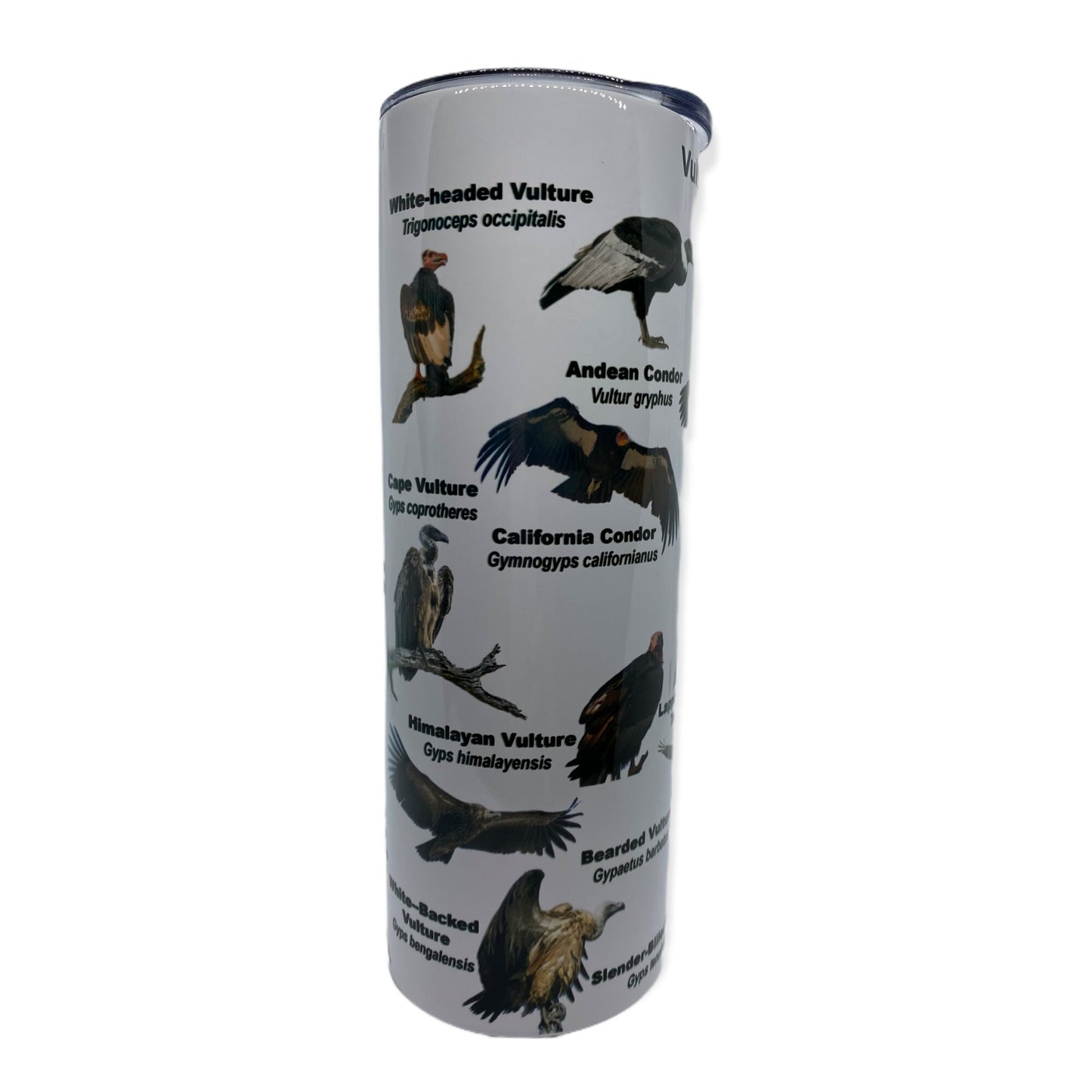 Vultures of the World Cup | 20oz Skinny Tumbler |  Gift for Wildlife Lover, Falconer, Educator, Over the Hill Gift