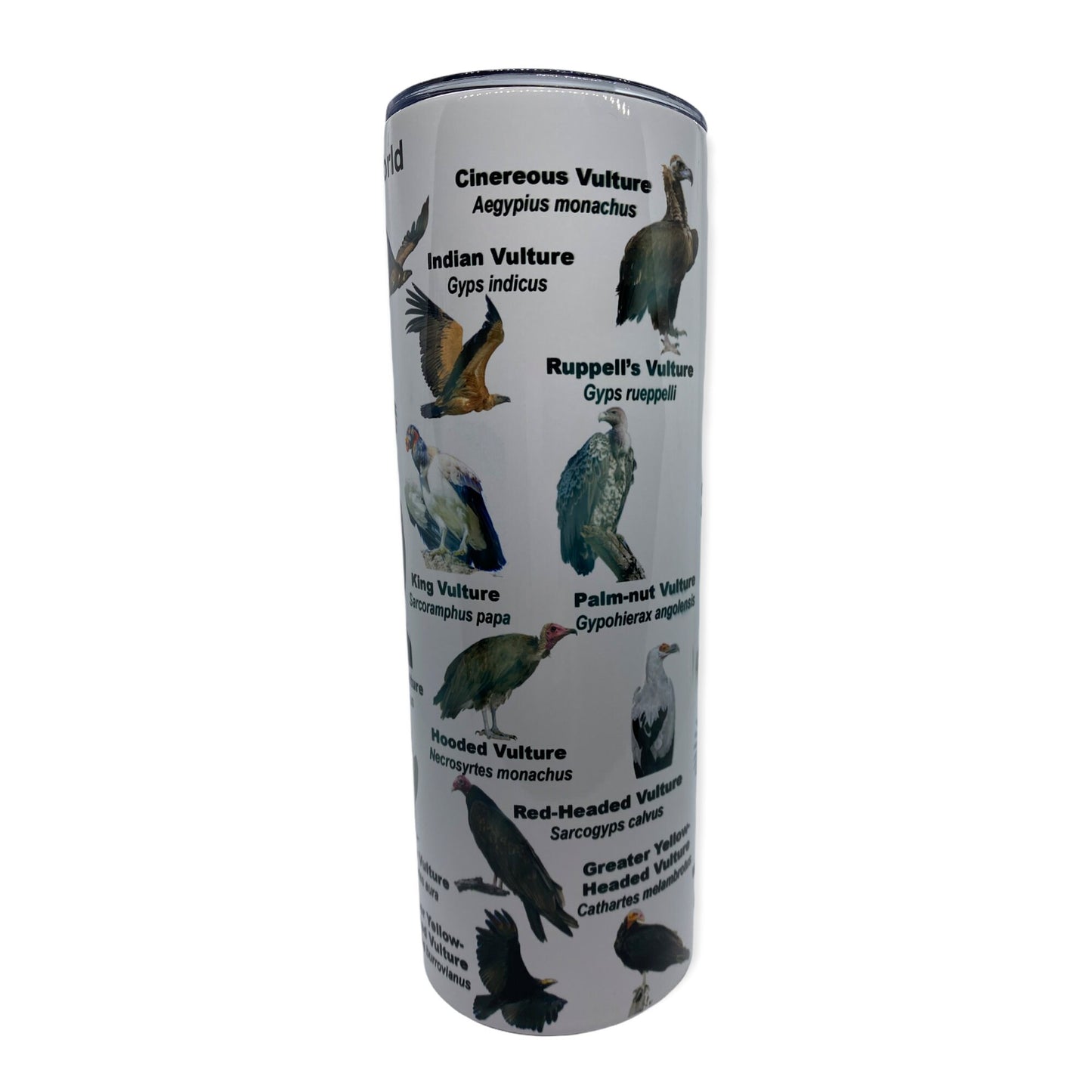 Vultures of the World Cup | 20oz Skinny Tumbler |  Gift for Wildlife Lover, Falconer, Educator, Over the Hill Gift
