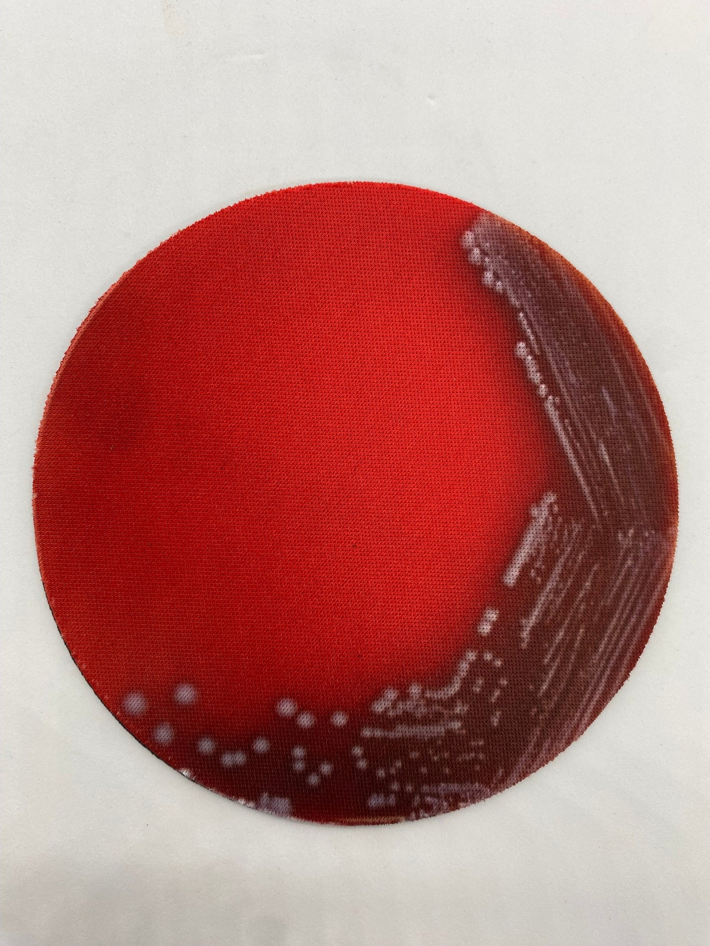 Bacterial Pathogen Neoprene Coasters - Terrible Pathogen, Petri Dish | Fun Gift for Microbiologists, Infectious Disease, Teachers, Lab Techs