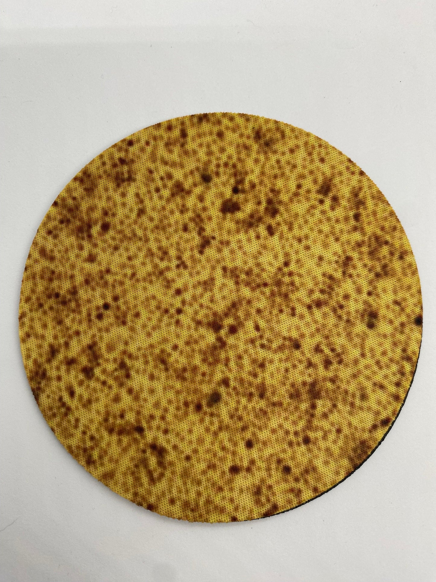 STI Pathogen Neoprene Coasters - Bacteria, Parasites, Dish | Fun Gift for Microbiologists, Infectious Disease, Valentines, Exes