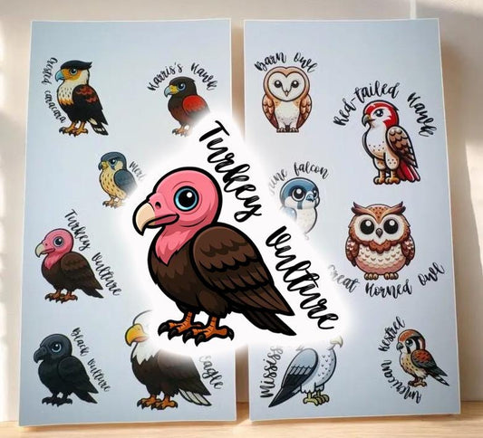 Bird of Prey Stickers - Stickers for Journal Planners Notebook or Laptop