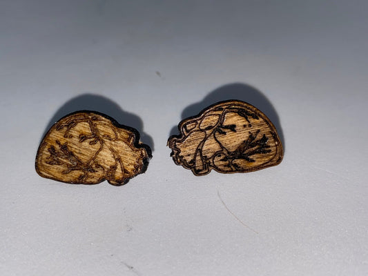 Anatomical Human Heart Stud Earrings