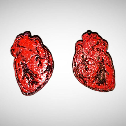 Anatomical Human Heart Stud Earrings