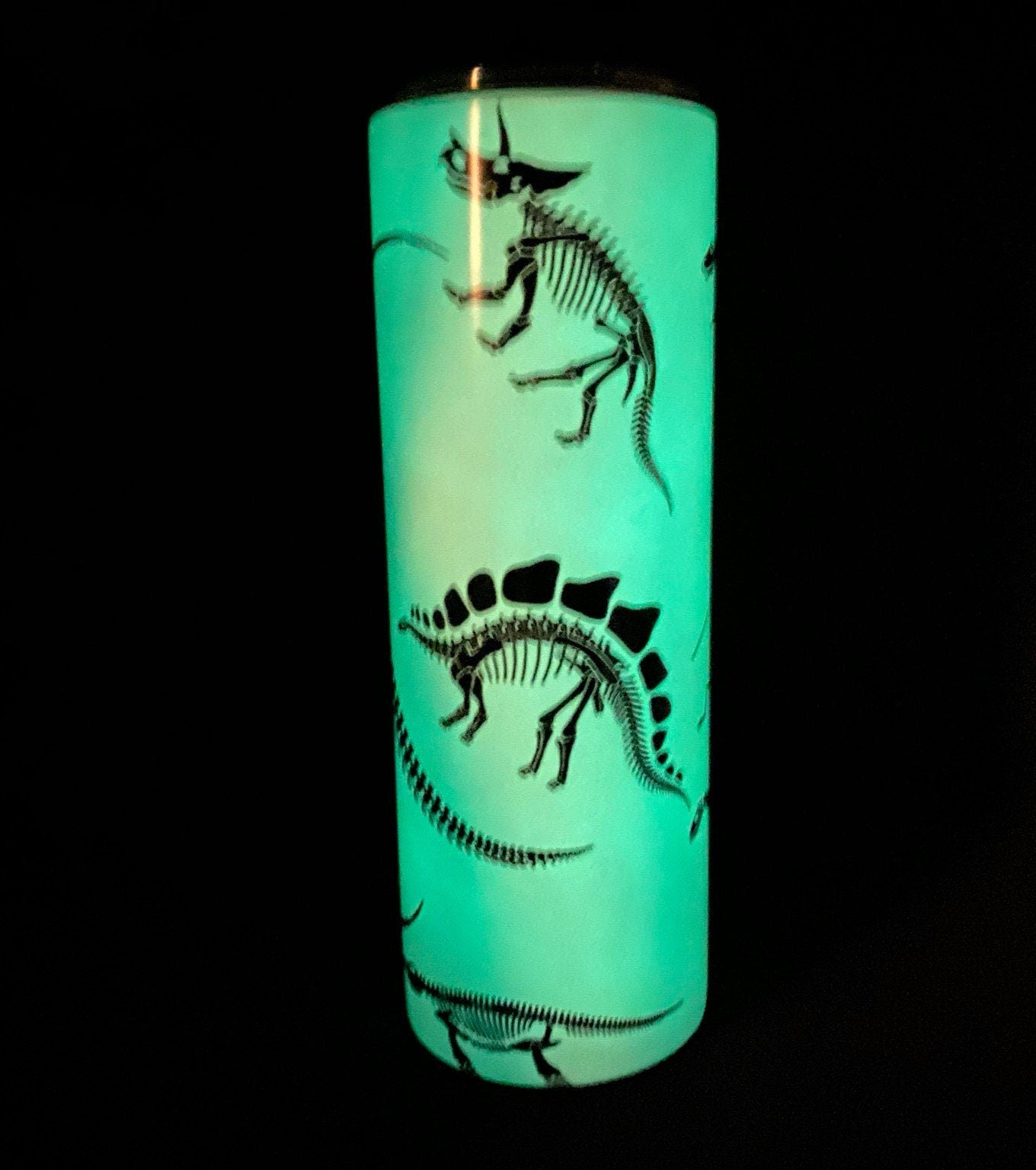 Dinosaur Bones Glow in the Dark Tumbler | 20oz Skinny Tumbler | Dinosaur Lovers and Jurassic Fans