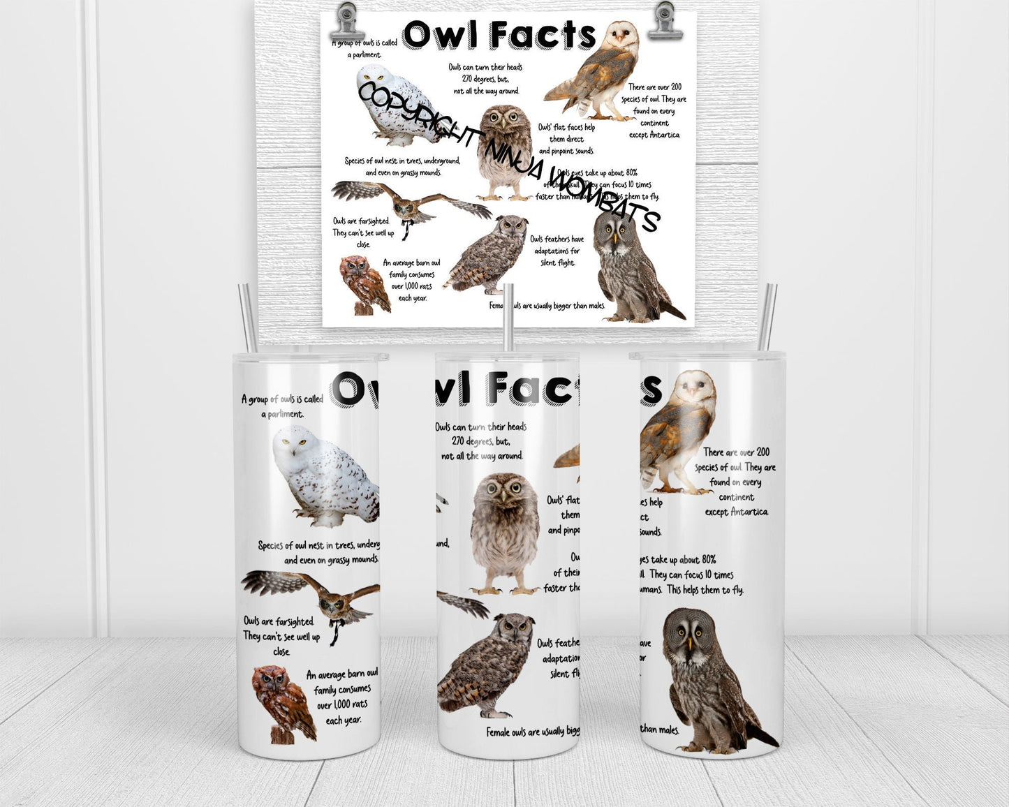 Owls Facts Tumbler, Cup | 20oz Skinny Tumbler | Funny Gift for Wildlife Lover, Endangered Species, Conservation Facts