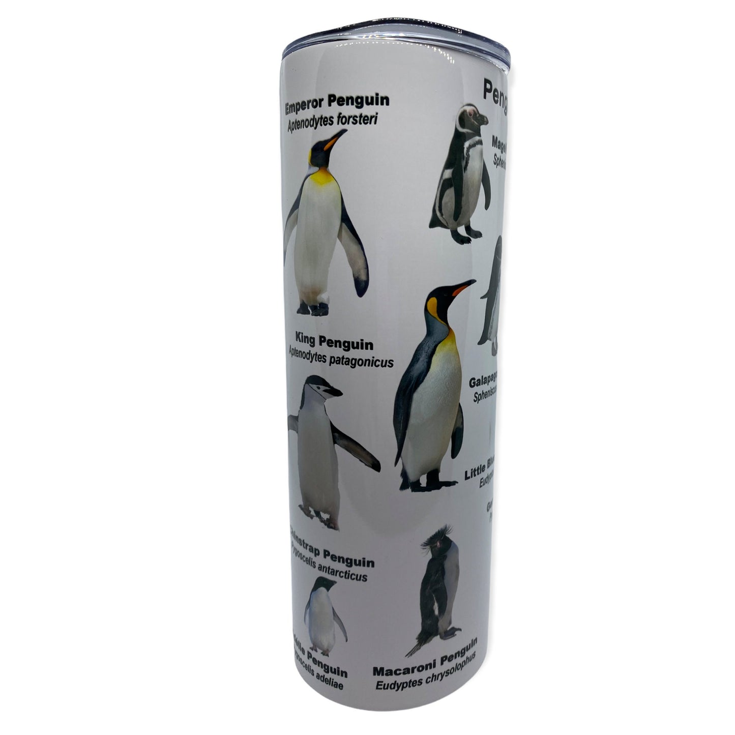 Penguins of the World Tumbler, Cup | 20oz Skinny Tumbler | Funny Gift for Wildlife Lover, Endangered Species, Conservation Facts
