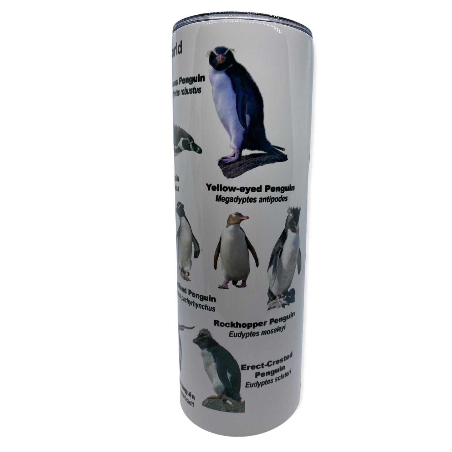 Penguins of the World Tumbler, Cup | 20oz Skinny Tumbler | Funny Gift for Wildlife Lover, Endangered Species, Conservation Facts