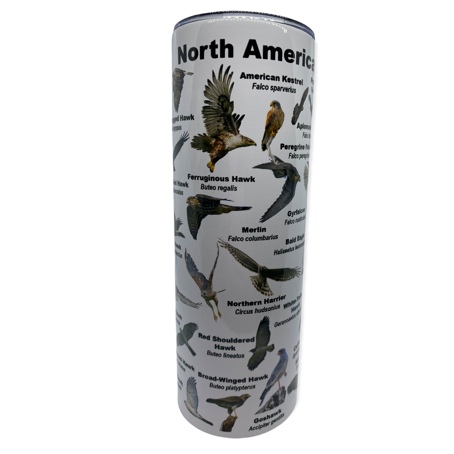 North American Birds of Prey Tumbler, Cup | 20oz Skinny Tumbler | Funny Gift for Wildlife Lover, Falconer, Educator