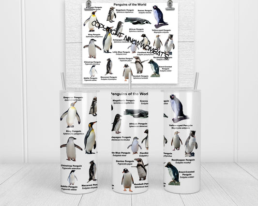 Penguins of the World Tumbler, Cup | 20oz Skinny Tumbler | Funny Gift for Wildlife Lover, Endangered Species, Conservation Facts