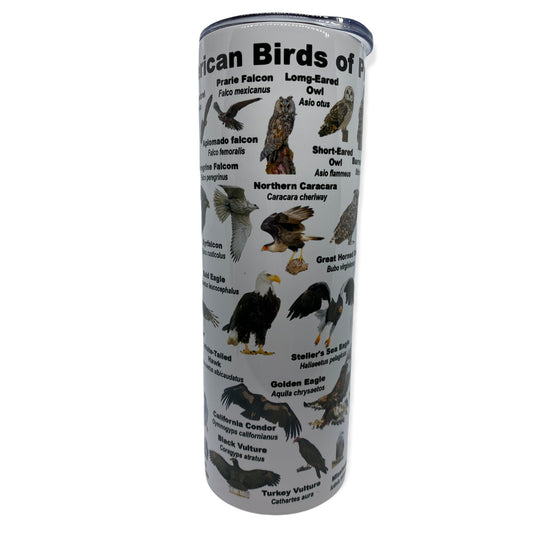 North American Birds of Prey Tumbler, Cup | 20oz Skinny Tumbler | Funny Gift for Wildlife Lover, Falconer, Educator