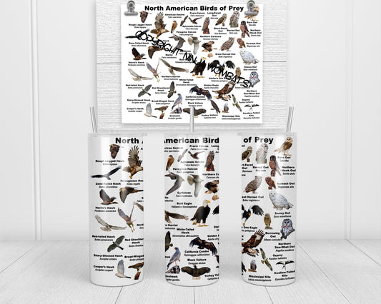 North American Birds of Prey Tumbler, Cup | 20oz Skinny Tumbler | Funny Gift for Wildlife Lover, Falconer, Educator