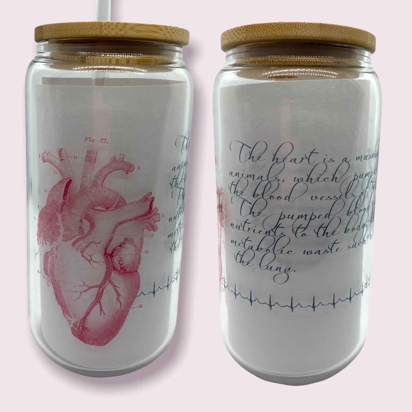 Anatomical Heart 16oz Iced Coffee Glass with Bamboo Lid and Straw | Cardiology, Cardiac, Nurse Gift | Beer Can Cup | Latte Glassware
