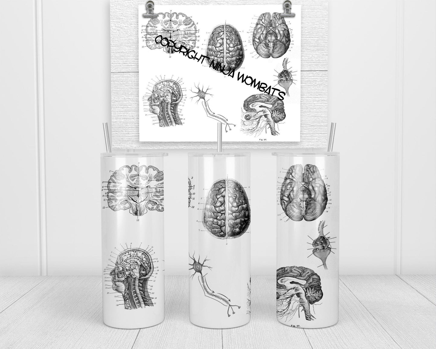Personalized Neurobiology Brain Anatomy | 20oz Skinny Tumbler | Fun Gift for Neurobiologist, Psychiatrist, Geniuses, Neurodivergent