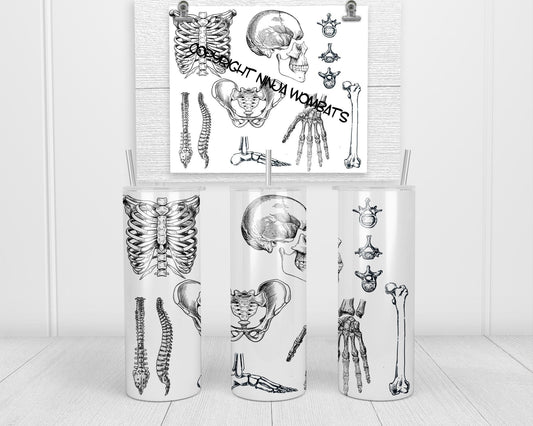 Personalized Skeletal Anatomy | 20oz Skinny Tumbler | Fun Gift for Chiropractor, Physiatrist, Physical Therapist