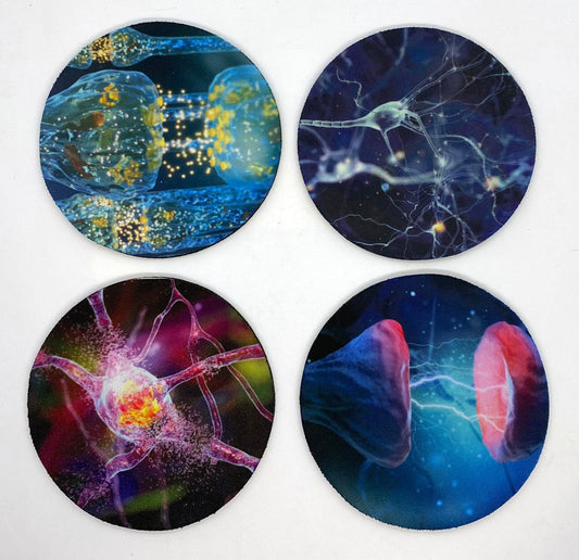 Neuron Neoprene Coasters | Fun Gift for Neurologists, Neurosurgeon, Neuroscientist, Researcher, Geniuses