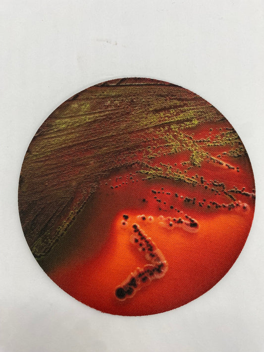 Bacterial Pathogen Neoprene Coasters - Bacteria, Petri Dish | Fun Gift for Microbiologists, Infectious Disease, Teachers, Lab Techs