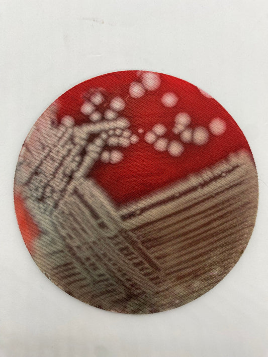 Bacterial Pathogen Neoprene Coasters - Terrible Pathogen, Petri Dish | Fun Gift for Microbiologists, Infectious Disease, Teachers, Lab Techs