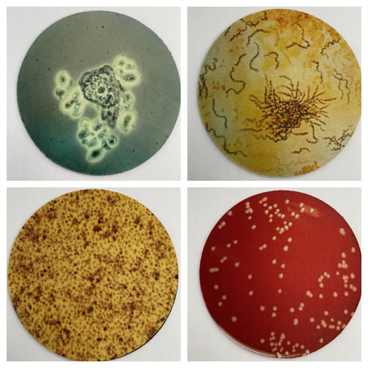 STI Pathogen Neoprene Coasters - Bacteria, Parasites, Dish | Fun Gift for Microbiologists, Infectious Disease, Valentines, Exes
