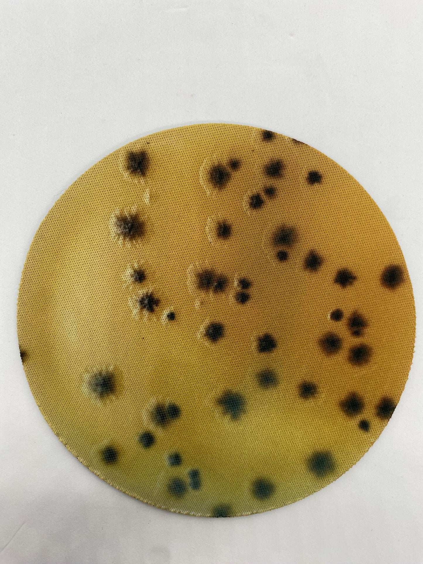 Bacterial Pathogen Neoprene Coasters - Terrible Pathogen, Petri Dish | Fun Gift for Microbiologists, Infectious Disease, Teachers, Lab Techs
